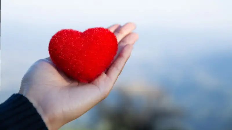 red-heart-hand