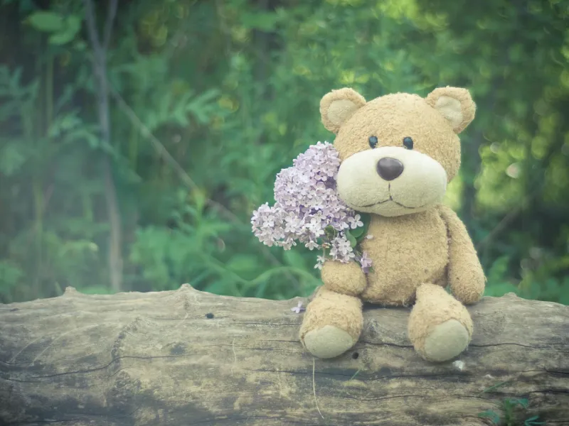 teddy sitting on a tree trunk