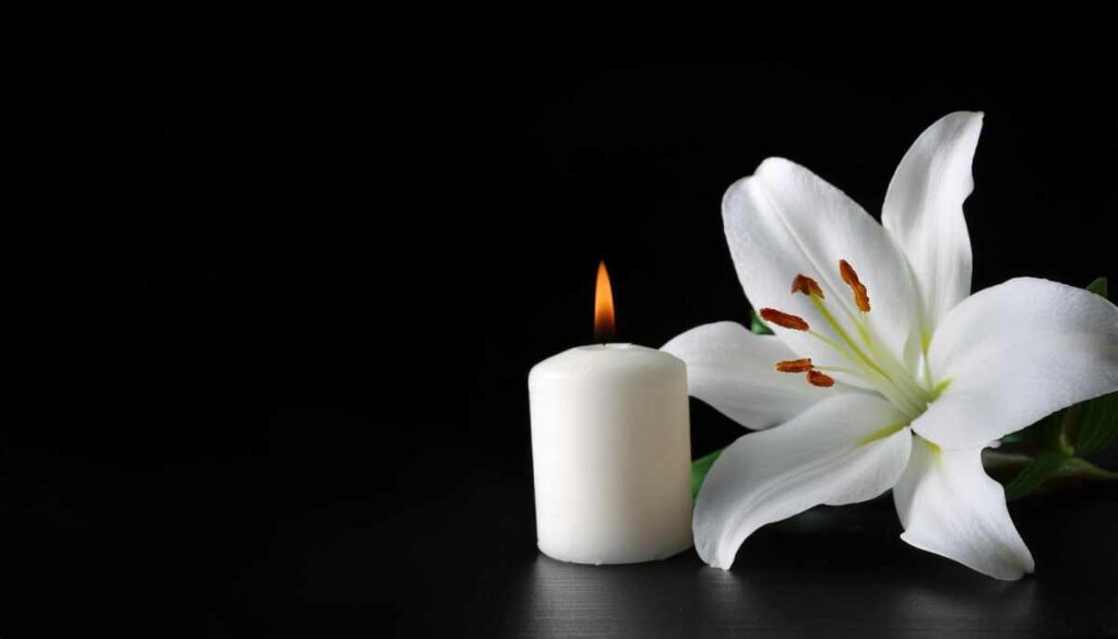 white liully with candle