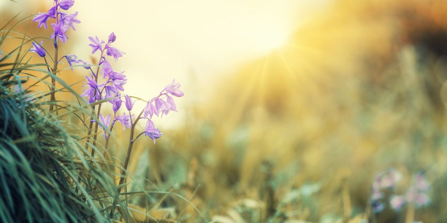 Untitled design - 2024-09-11T114905.140